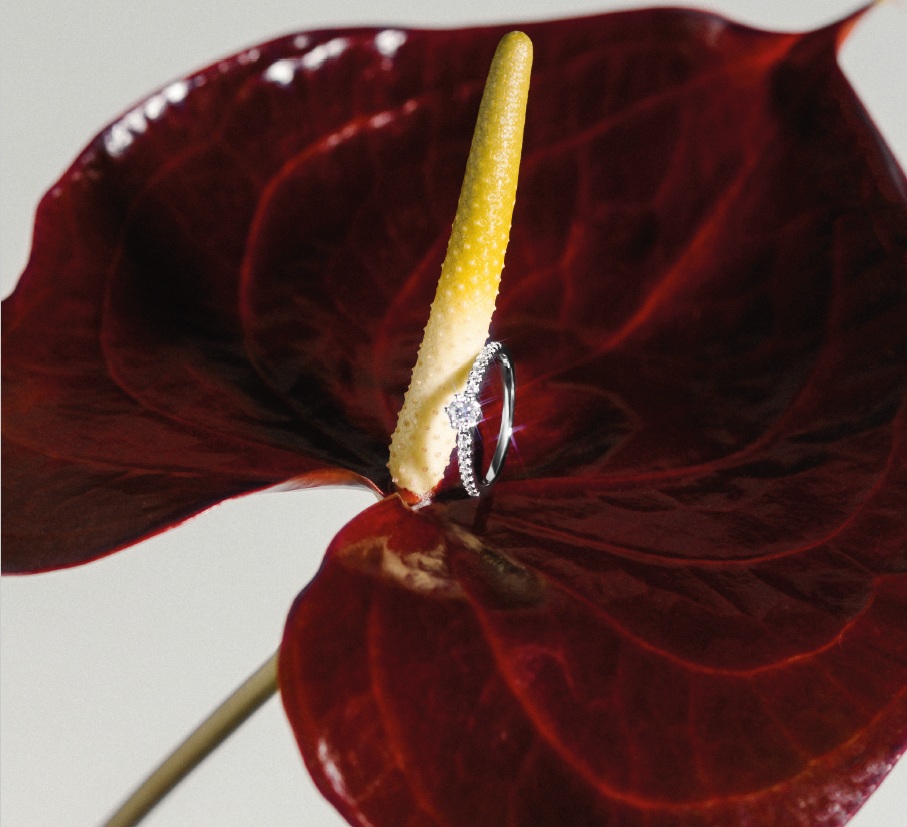 Xenox Lab Grown Diamonds in Minden